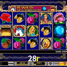 28r Brasília - VIP Program